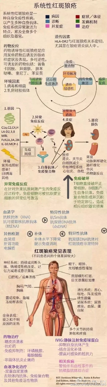 狼疮肾炎可补硒吗