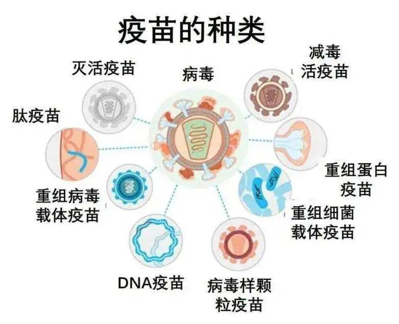 补硒后的各种反应