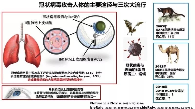 补硒后的各种反应