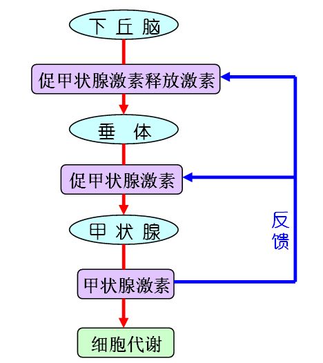 肺炎补硒有好处吗