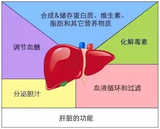 乙肝患者补硒好吗