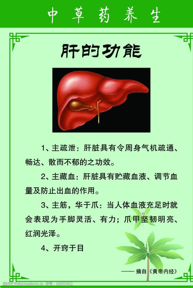 肝脏需不需要补硒