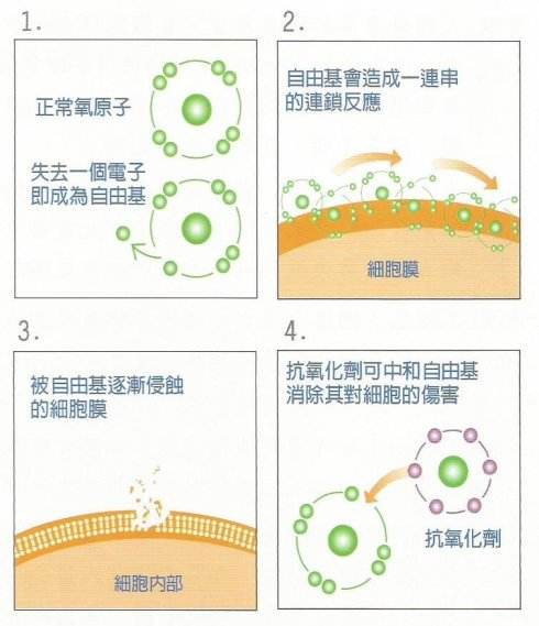 硒胶囊一天补多少