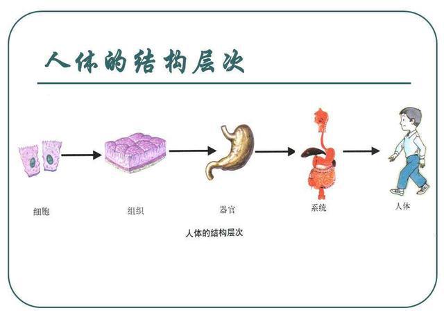 钠钙钾硒要怎么补