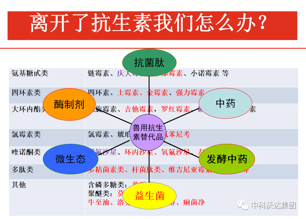 大羊补多少硒垂毒