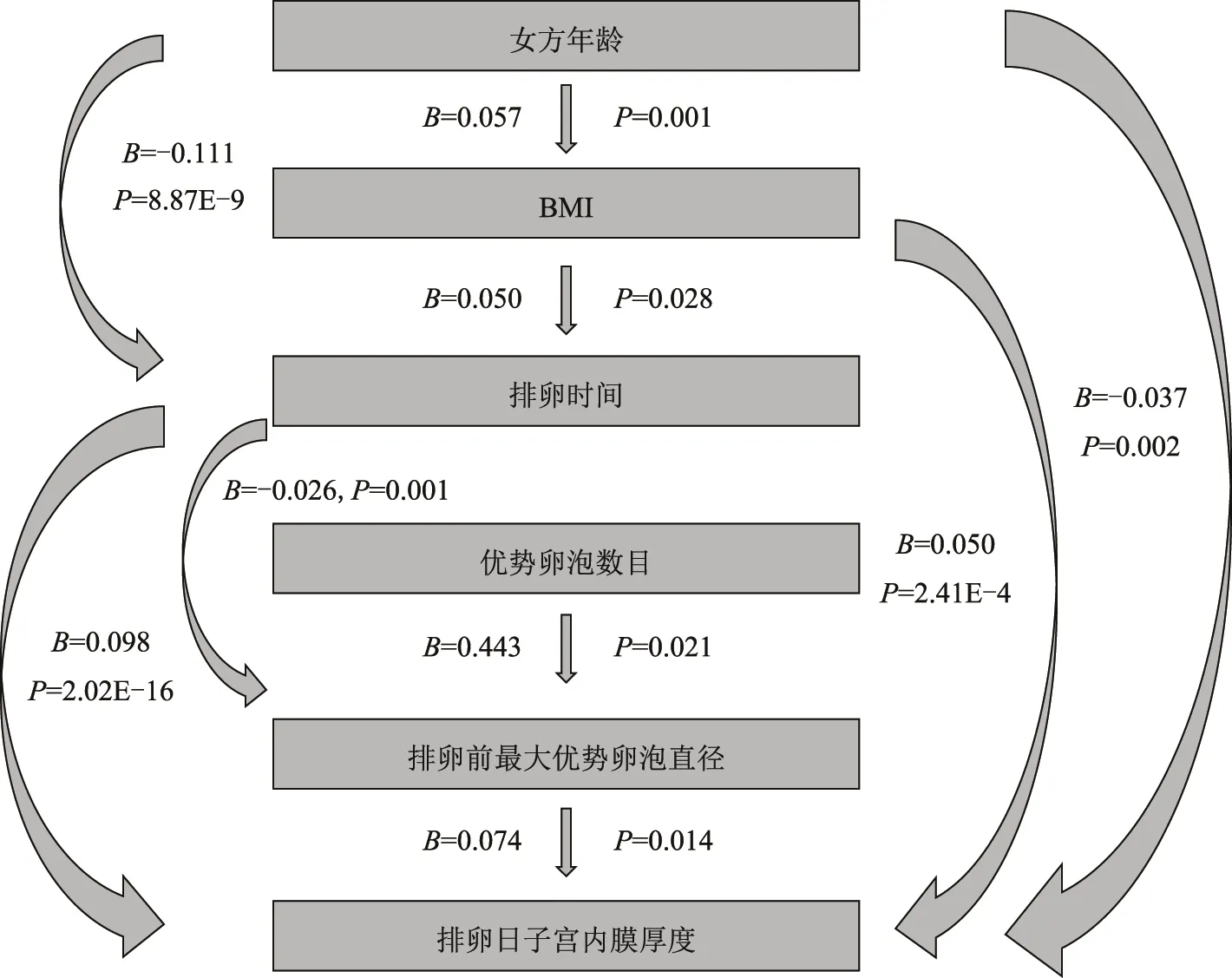 女性补硒雄性激素