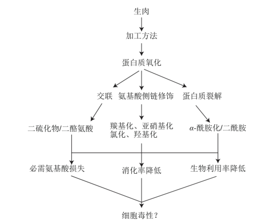 胡萝卜补硒和钾吗