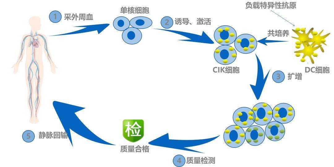 补硒治疗气管炎吗