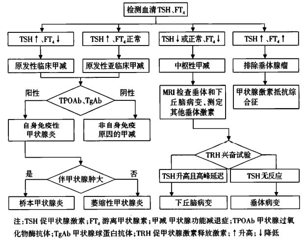 甲状腺炎能补硒么