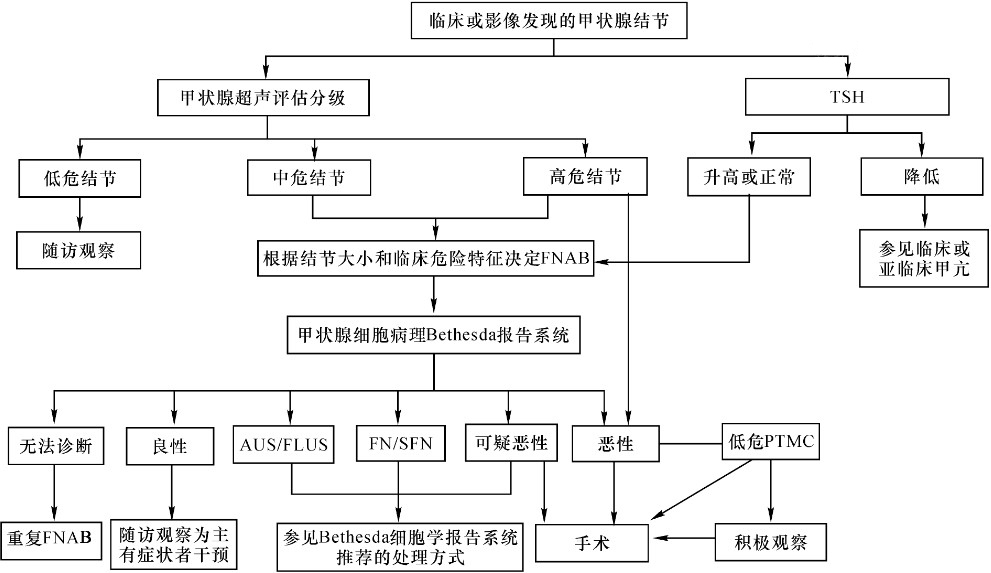 甲状腺炎能补硒么