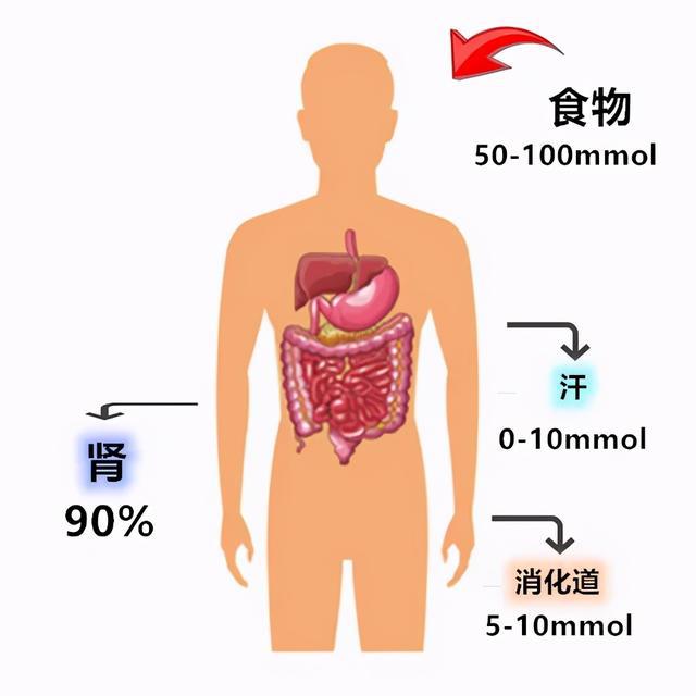 肌酐高可以补硒吗