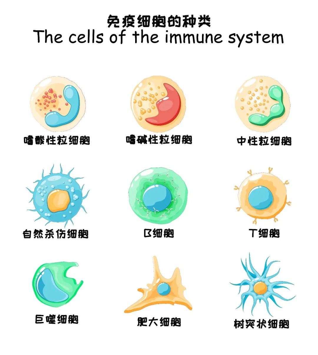 吃小球藻可以补硒