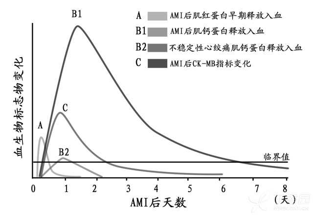 补硒有助于长高吗