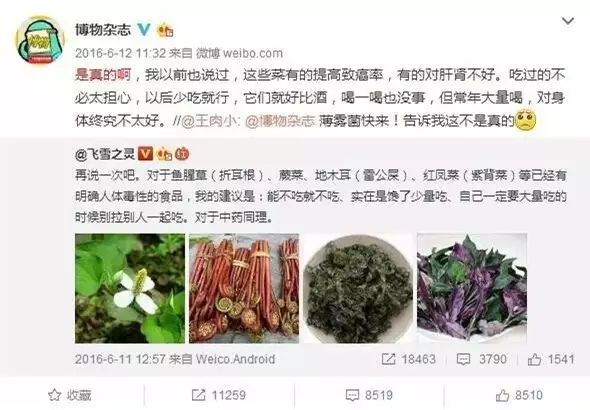 补硒和锌吃什么好