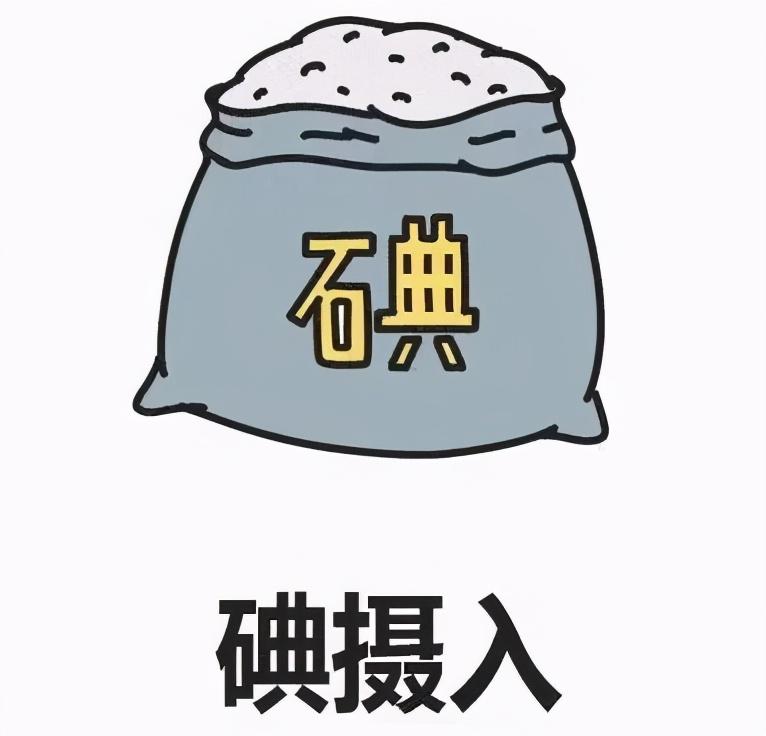 甲减补硒吃什么药