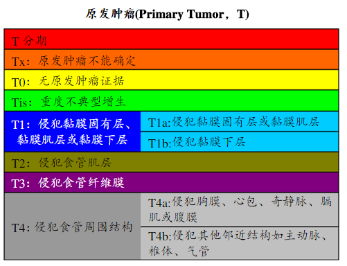 食道癌大剂量补硒