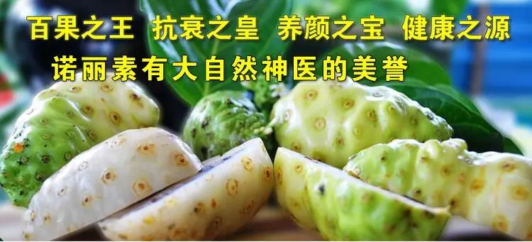 硒能补感光材料吗