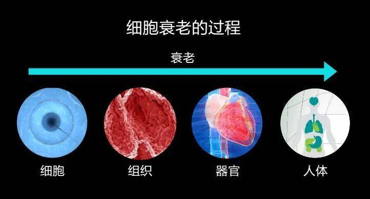 补硒宫颈炎能好吗