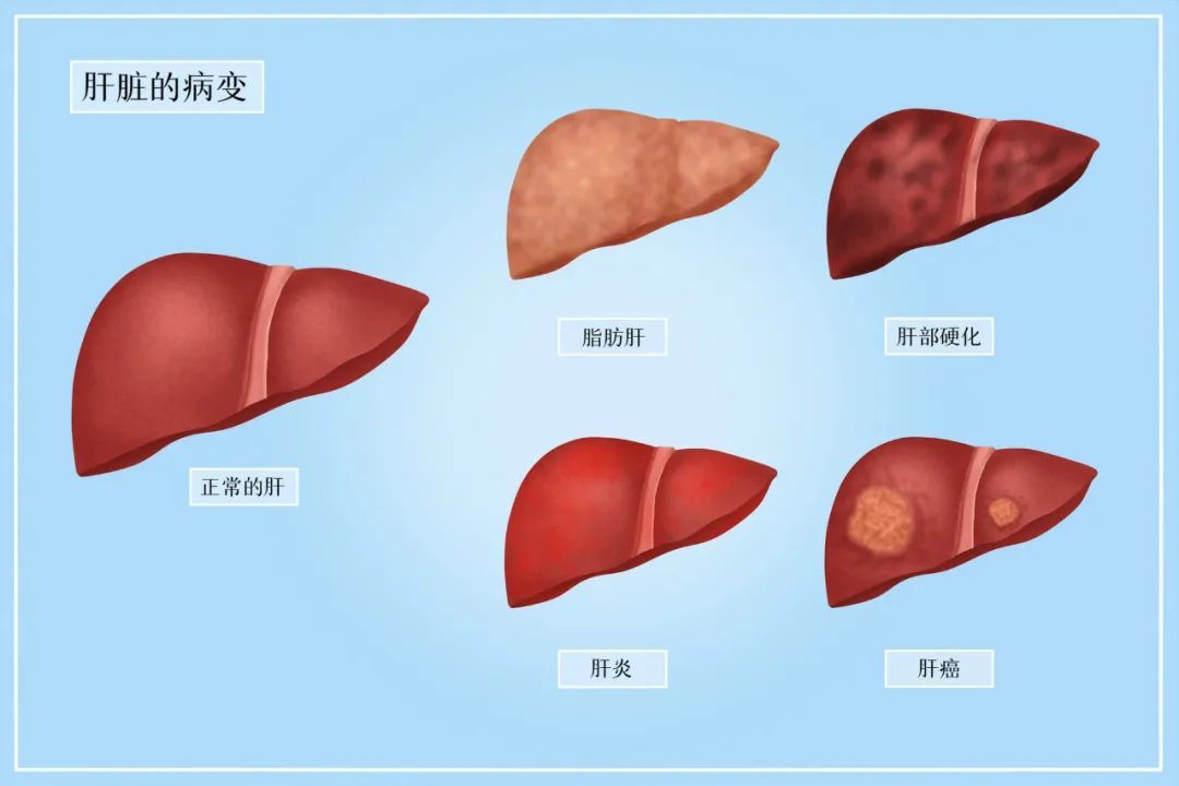 成人每一日补硒量