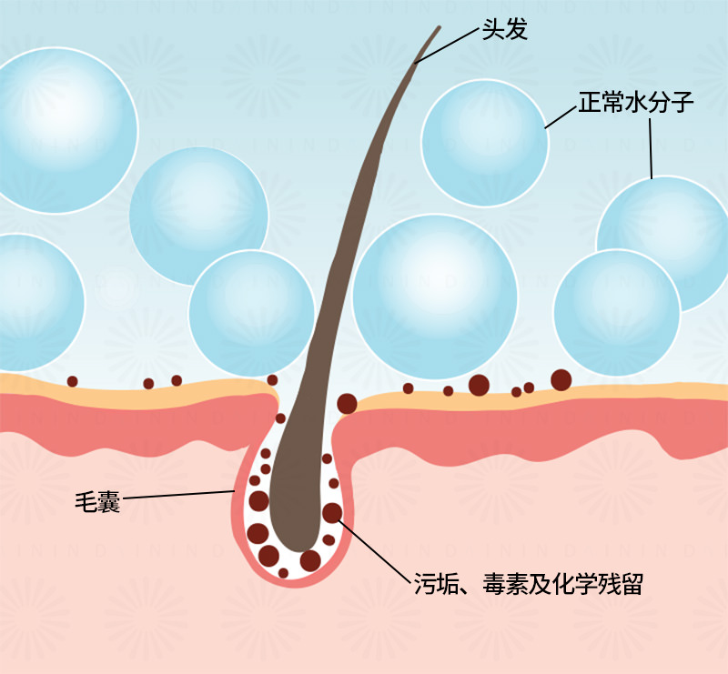 补硒会不会掉头发