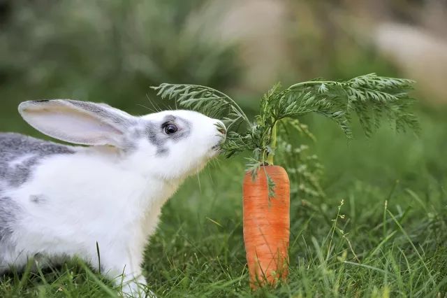 维生素b3 补硒