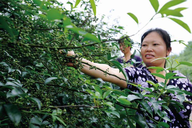 江津富硒产品平台