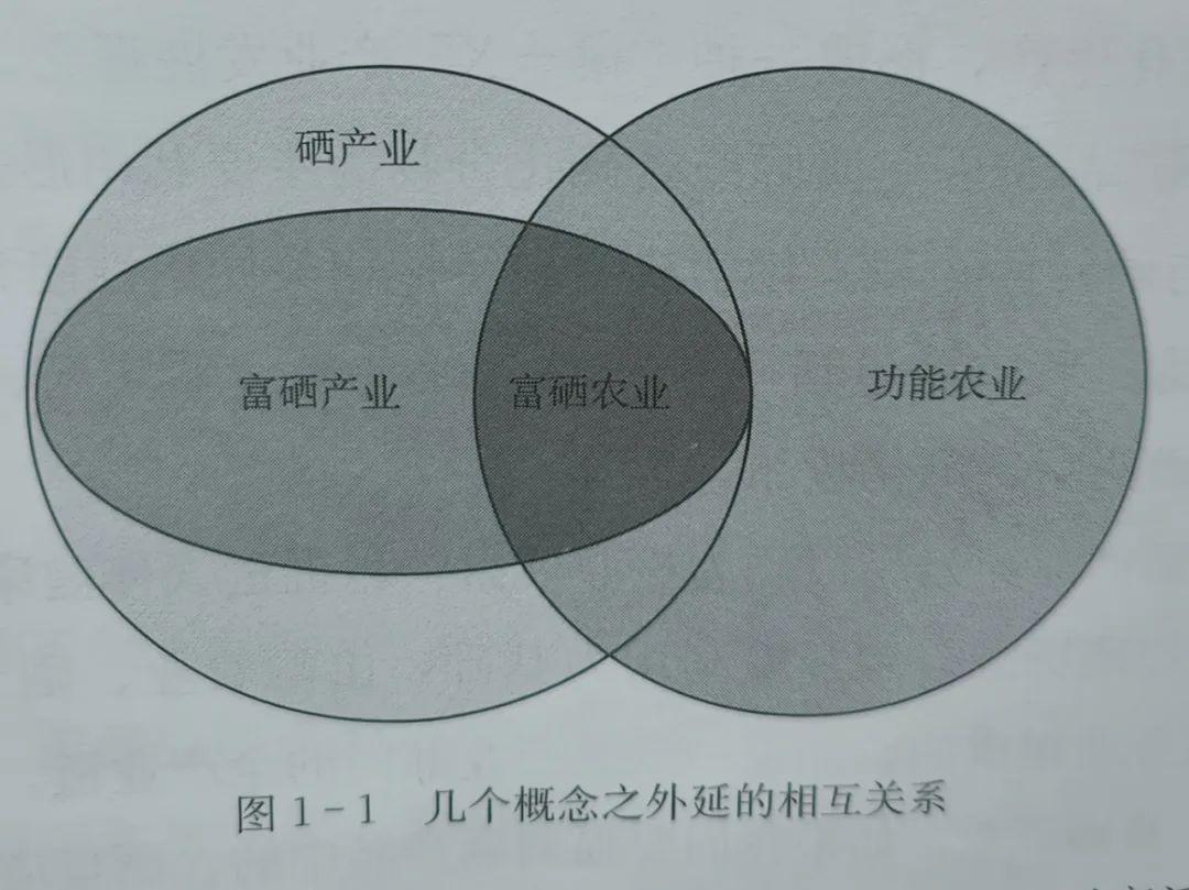 富硒产品如何界定