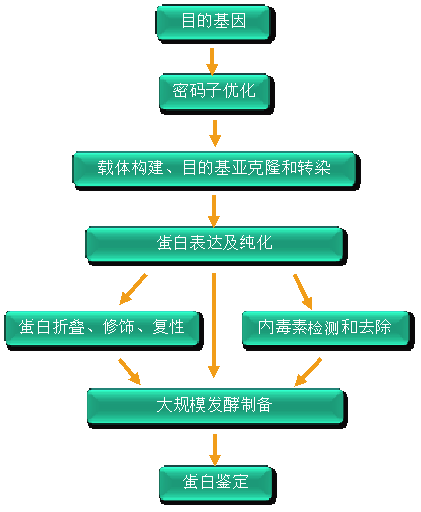 怎么种植富硒产品