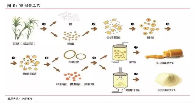 安琪富硒酵母产品