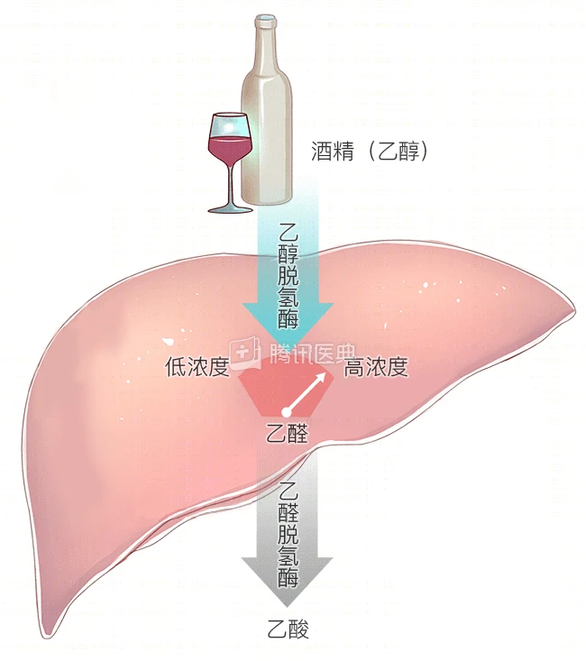 富硒产品能解酒吗