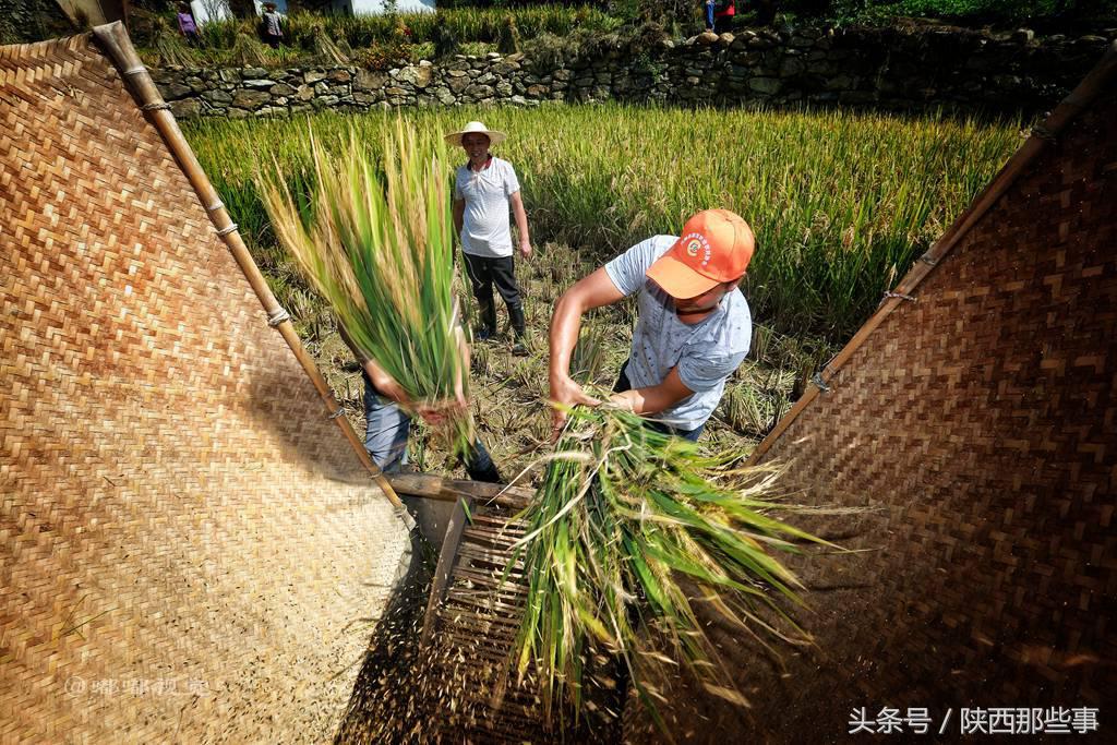 安康富硒农产品节