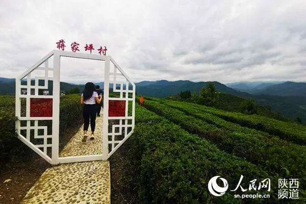 平利县女娲富硒茶