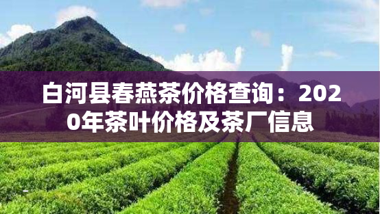 白河县春燕茶价格查询：2020年茶叶价格及茶厂信息