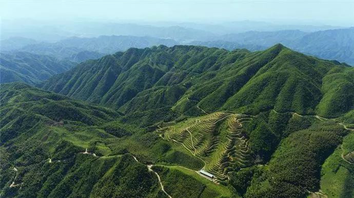 湘硒缘富硒健康茶