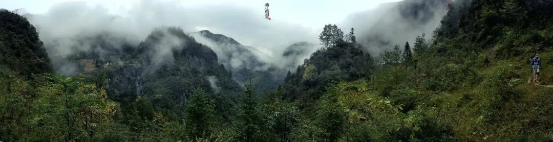 恩施雨露 富硒茶