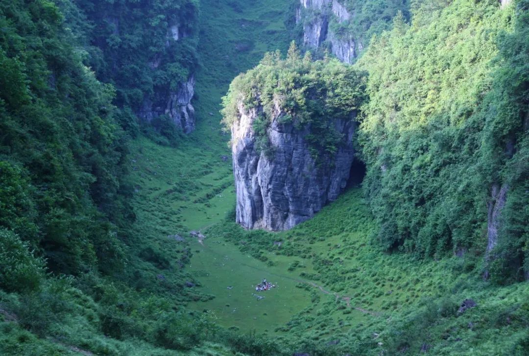 恩施雨露 富硒茶