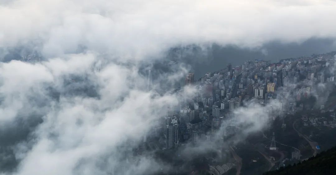 恩施雨露 富硒茶