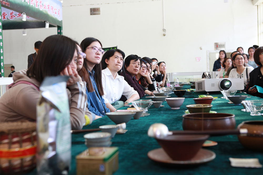 京华茶叶 富硒茶