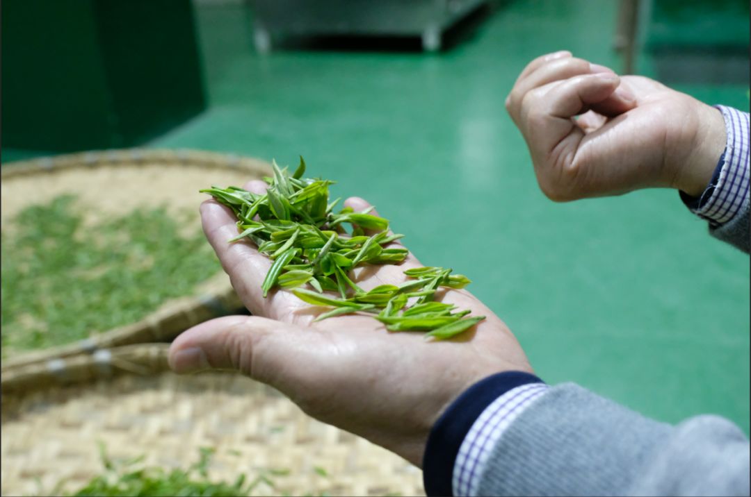 紫阳富硒茶 有机