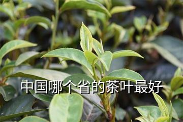 中国哪个省的茶叶最好