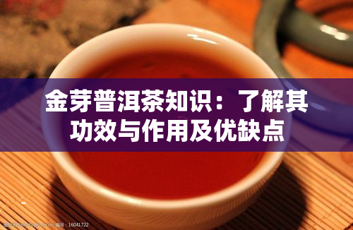 恩施富硒茶功夫茶