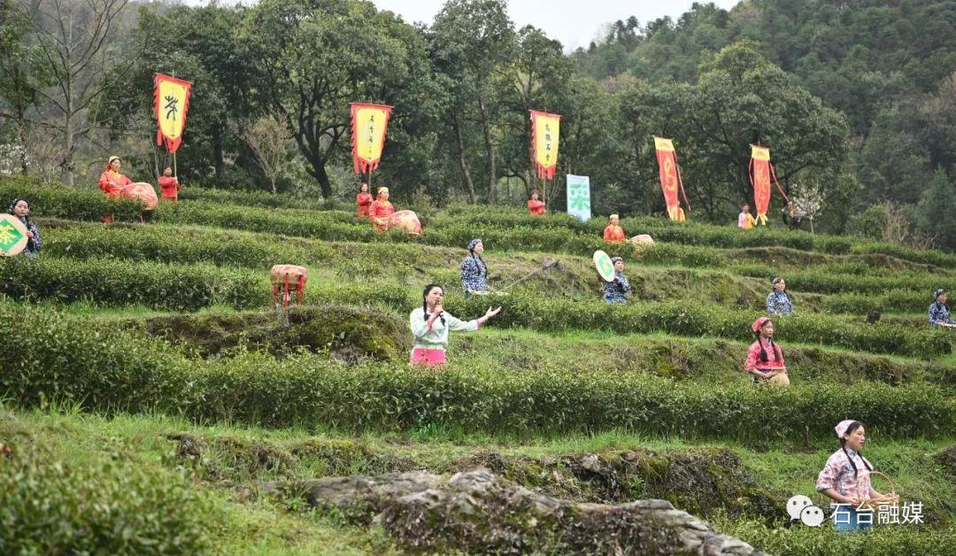 石台富硒茶的优点