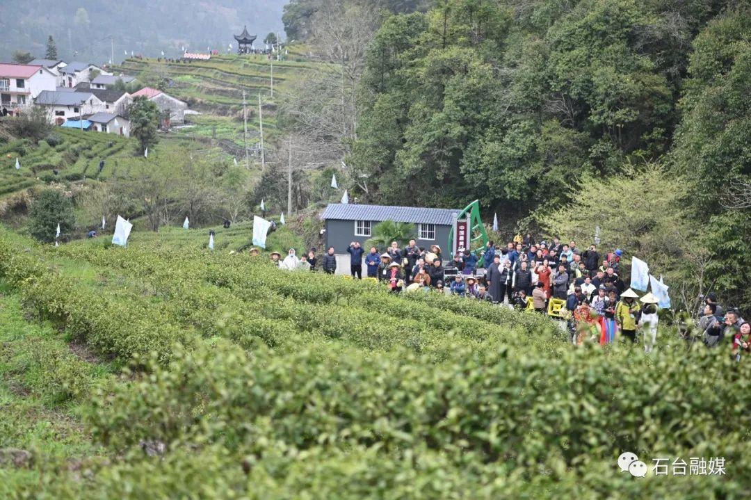 石台富硒茶的优点