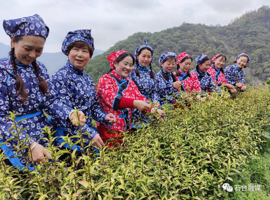 石台富硒茶的优点