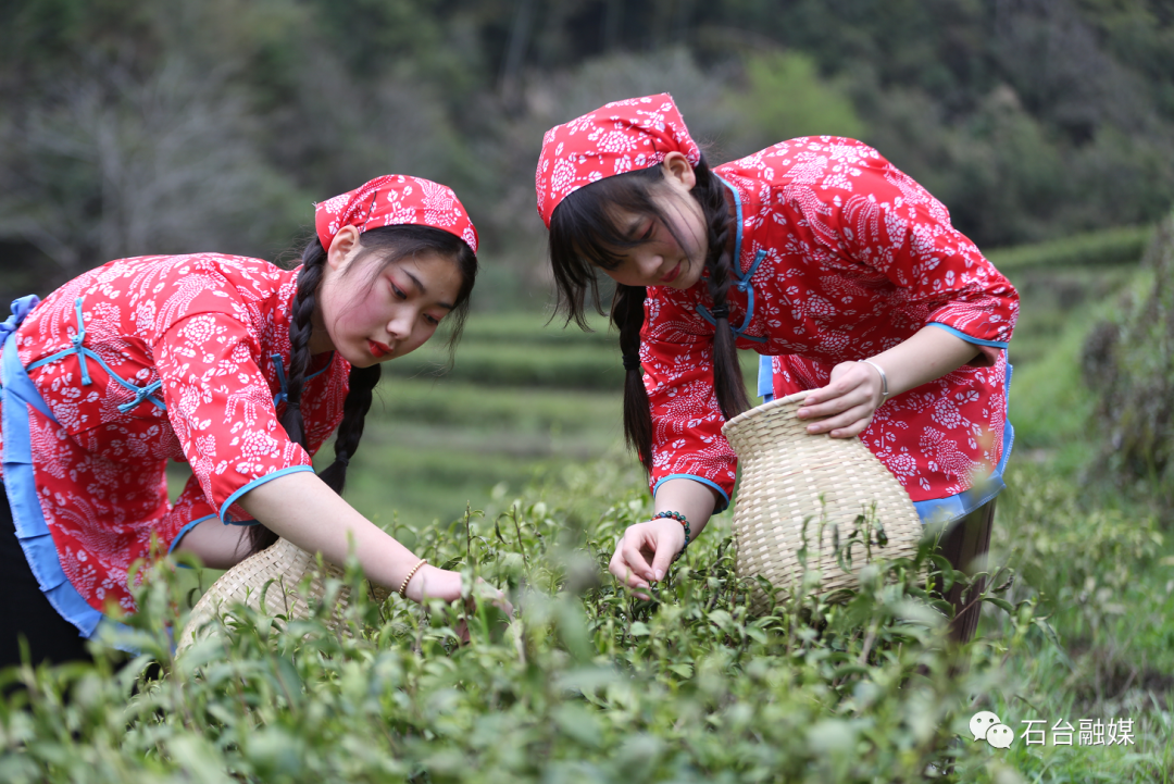 石台富硒茶的优点