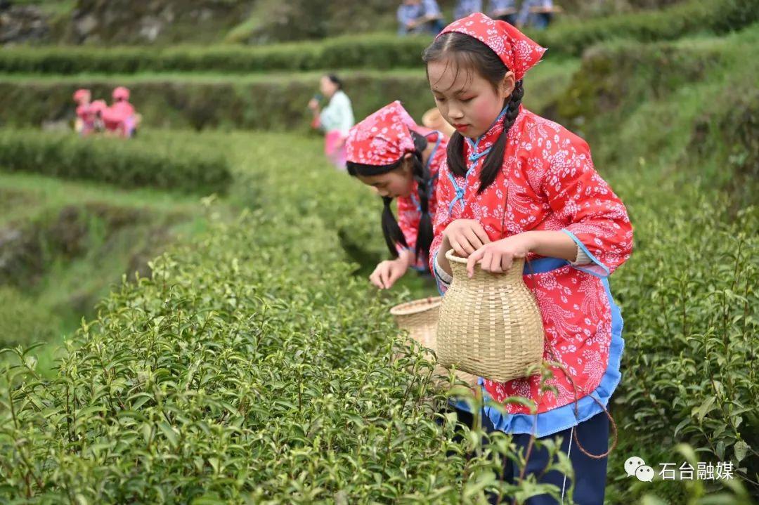 石台富硒茶的优点