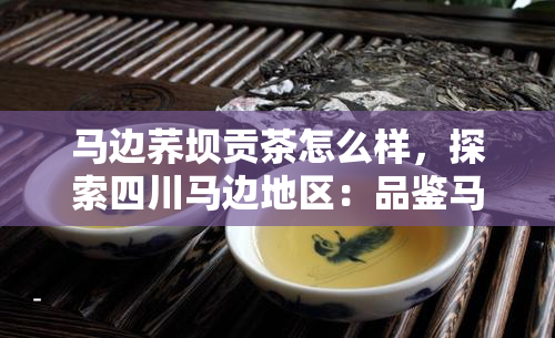 马边荞坝贡茶怎么样，探索四川马边地区：品鉴马边荞坝贡茶的独特魅力