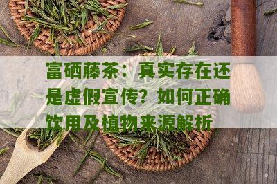 富硒藤茶：真实存在还是虚假宣传？如何正确饮用及植物来源解析