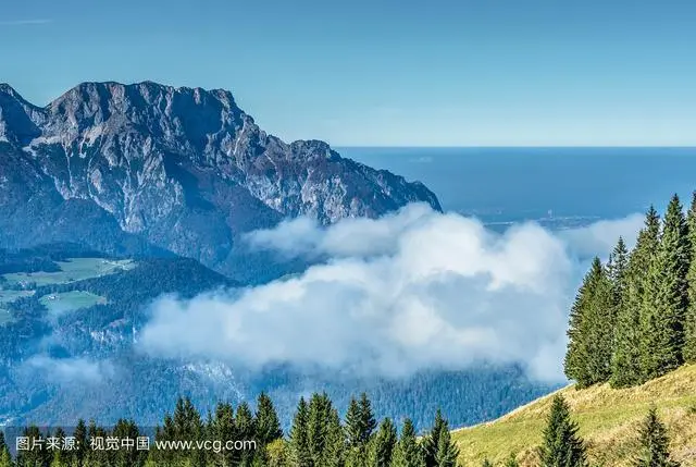 西黄山富硒茶基地