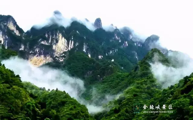 西黄山富硒茶基地